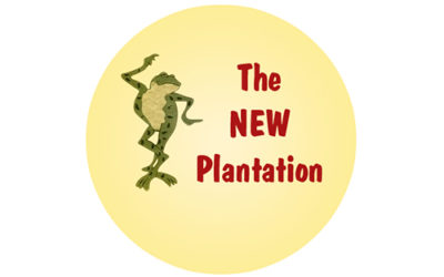 New Plantation Fundraiser